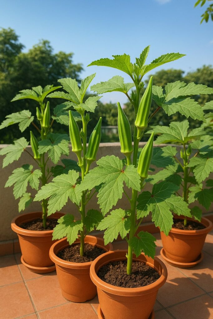 best vegetable plants for terrace garden
