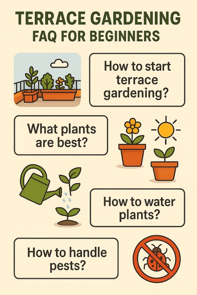 best vegetable plants for terrace garden