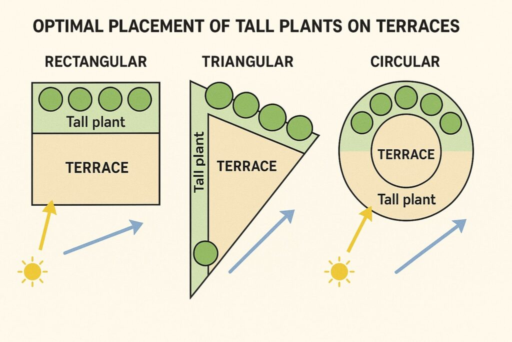 tall plants for terrace garden
