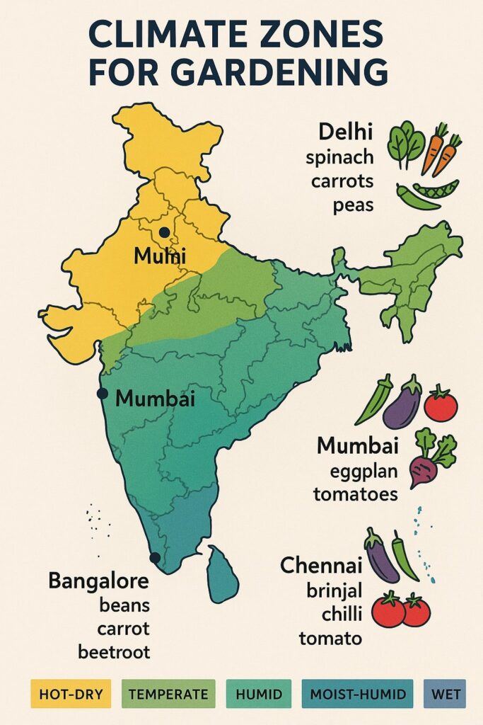 best vegetable plants for terrace garden

