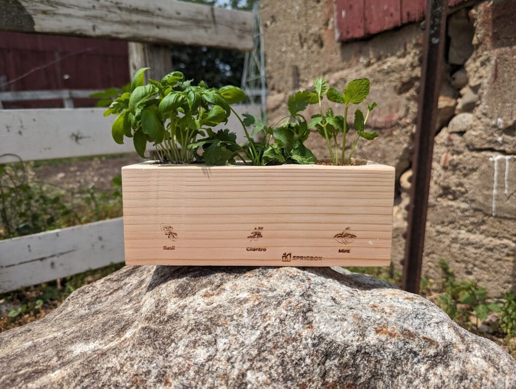 wall mounted indoor herb garden
