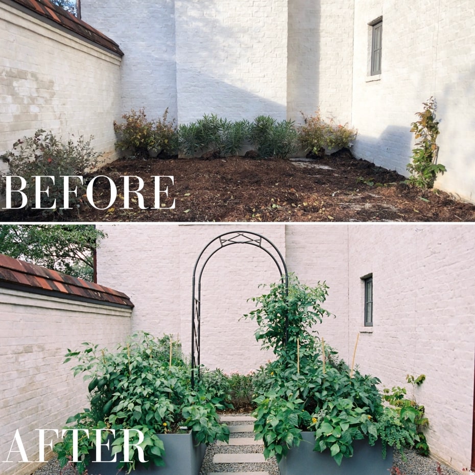 how to make vertical garden indoor living wall
