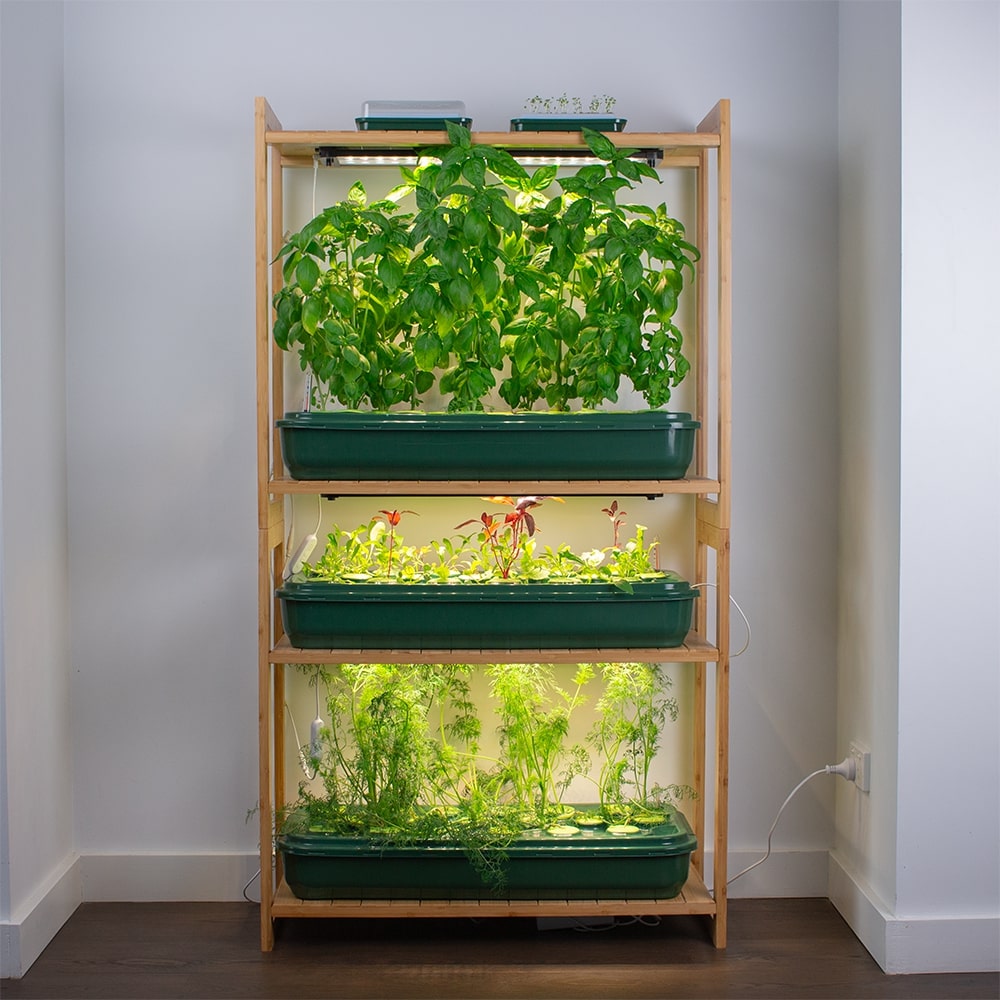 how to make vertical garden indoor living wall
