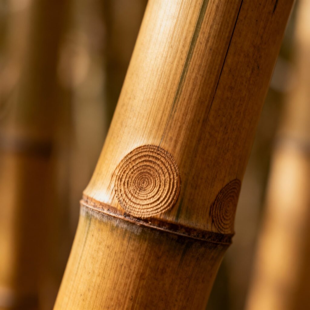kreliv bamboo terracotta hanging planter

