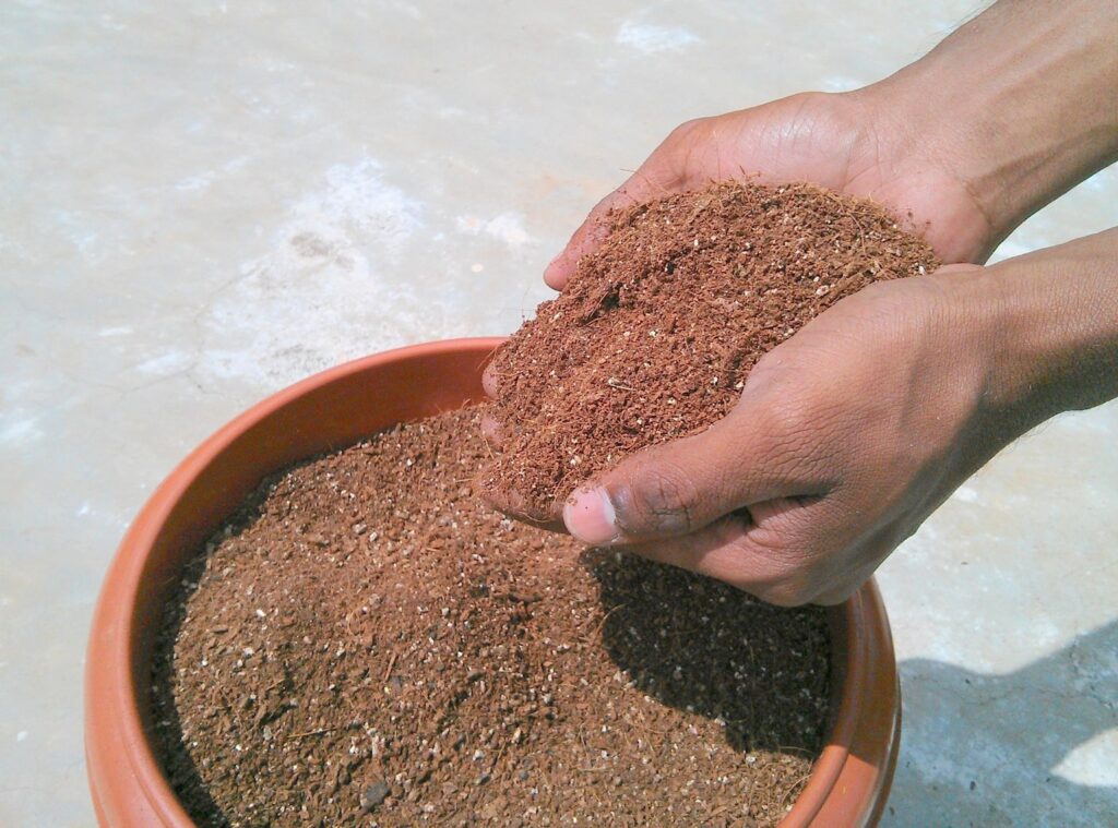 How to arrange plants in small balcony on a budget
