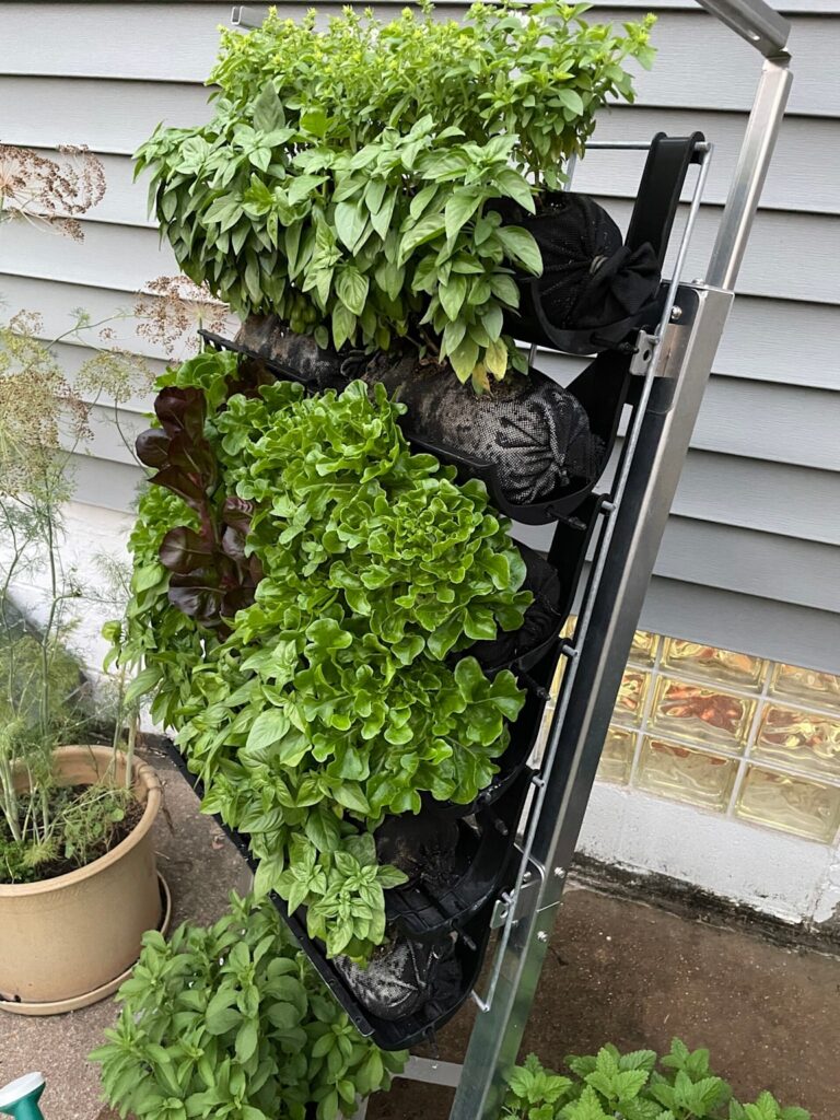 Vertical Garden grill
