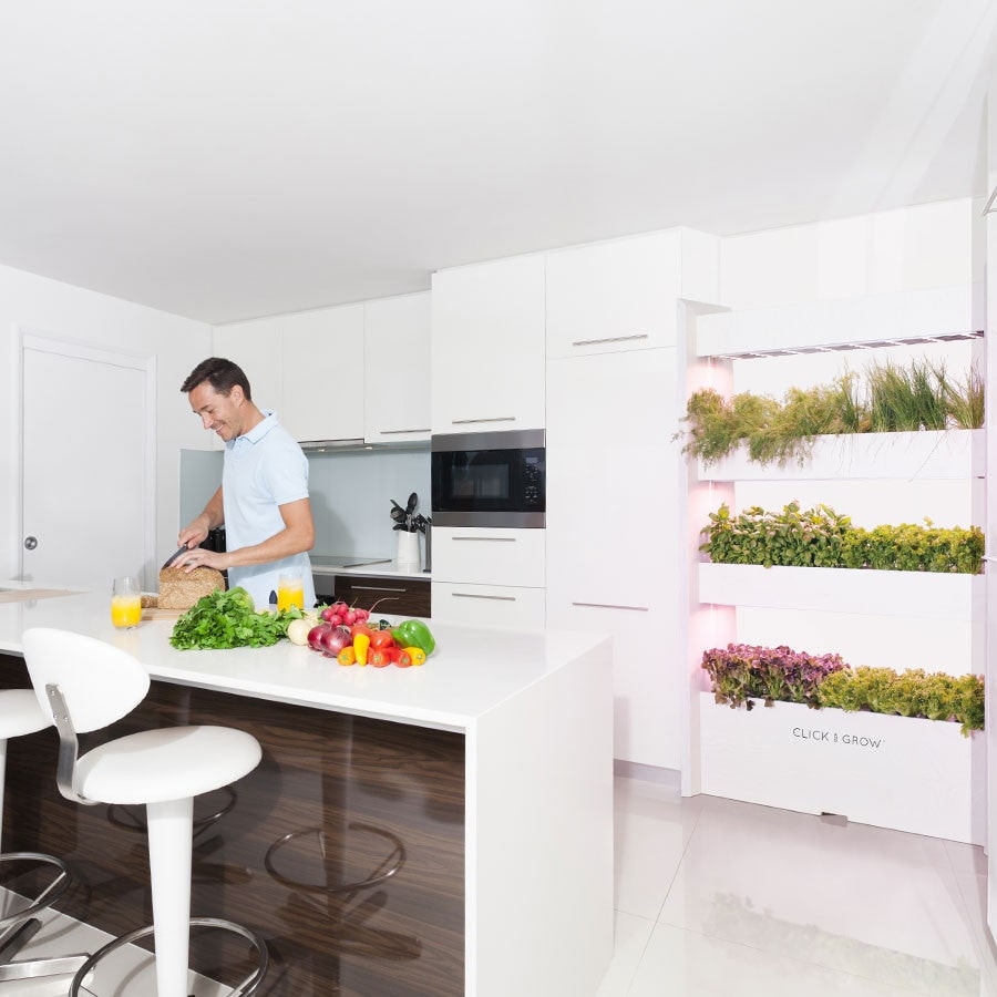 how to make vertical garden indoor living wall
