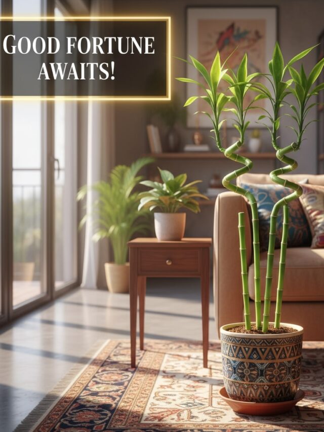 Bamboo Plant for Home Vastu: Benefits, Placement & Care